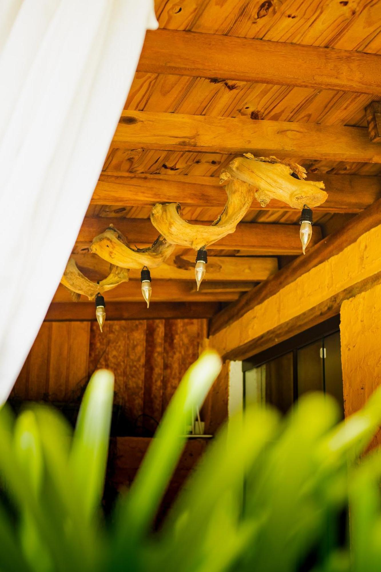 アンパロ Quinta Da Bocainaヴィラ エクステリア 写真