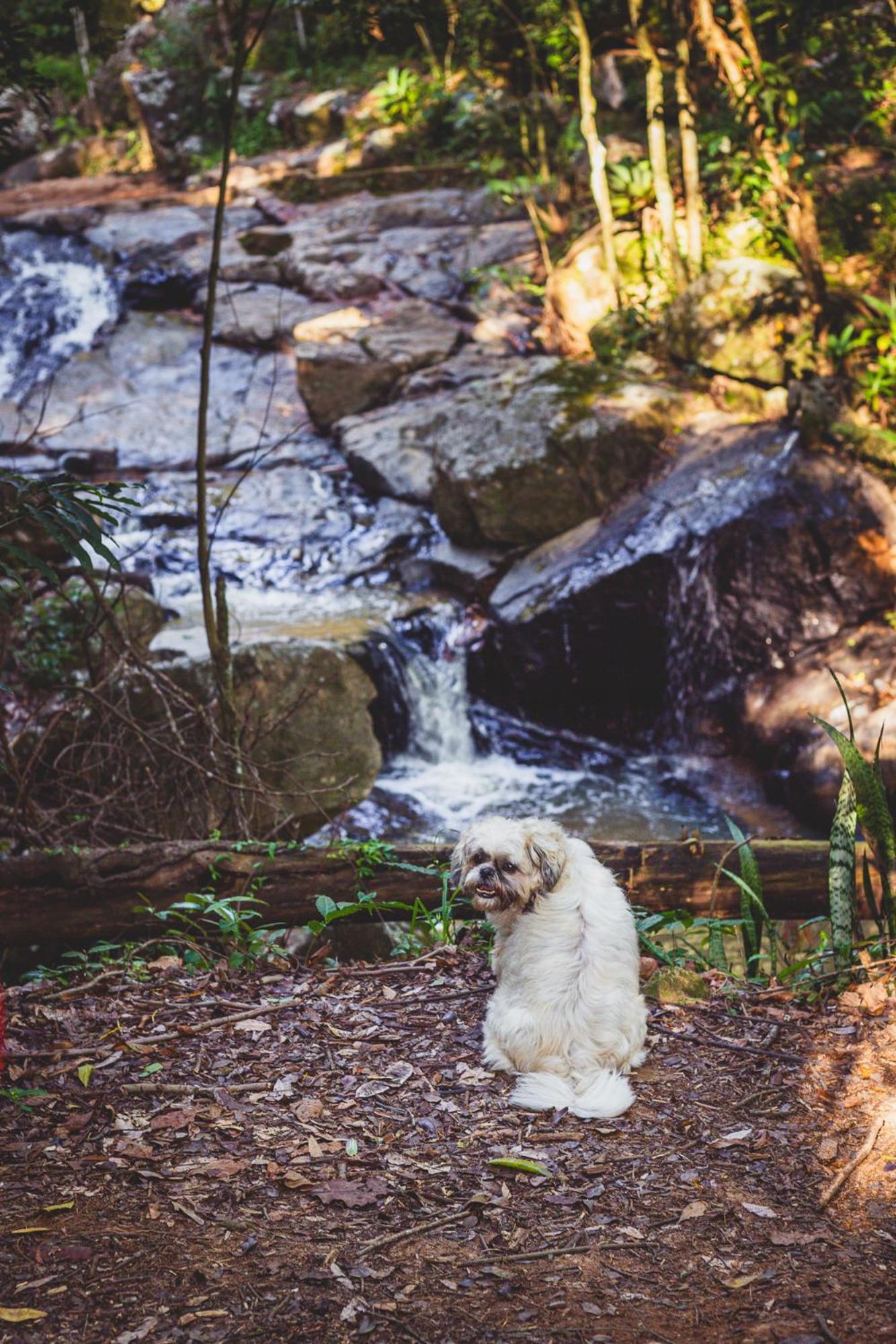 アンパロ Quinta Da Bocainaヴィラ エクステリア 写真