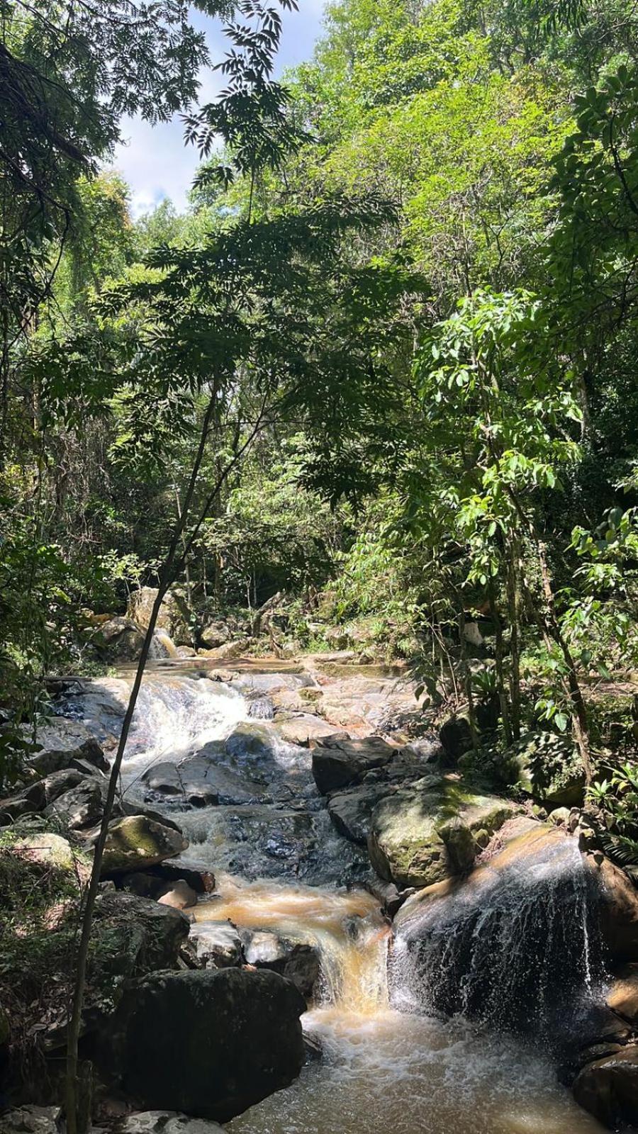 アンパロ Quinta Da Bocainaヴィラ エクステリア 写真